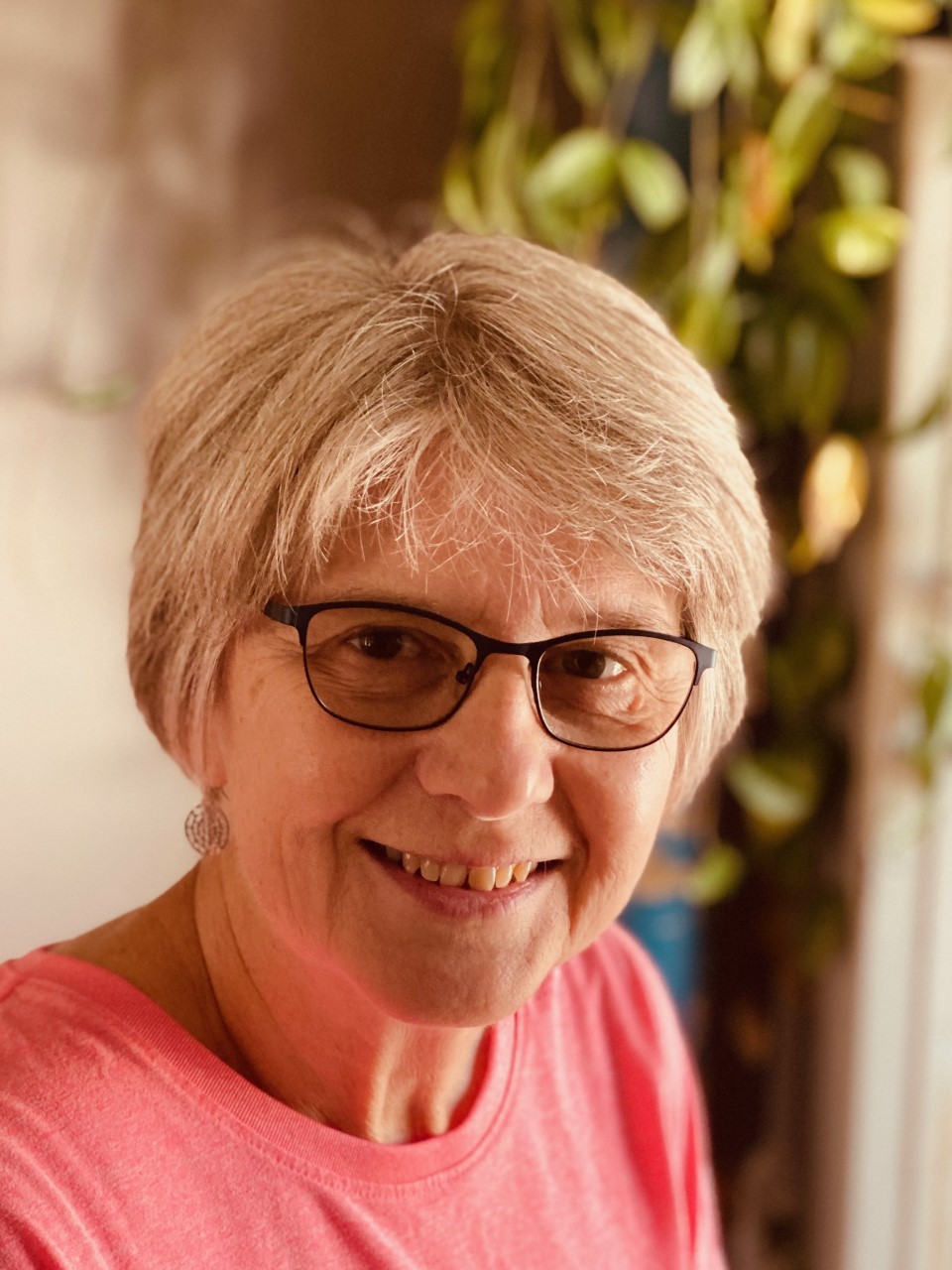 Detroit Lakes Animal Hospital Detroit Lakes, MN Our Staff